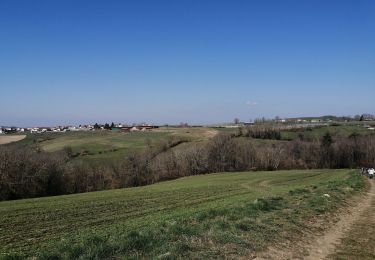 Trail Walking Grézieu-le-Marché - grézieu le marché  - Photo