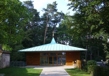 Tour Zu Fuß Heidenberg - Auf historischen Wegen - Photo