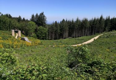Tocht Stappen Chevinay - Saint Bonnet Le Froid - Les tours - Photo