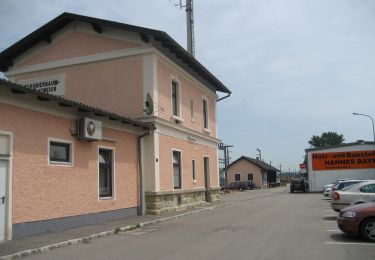 Tocht Te voet Gemeinde Atzenbrugg - Biberwanderweg - Photo