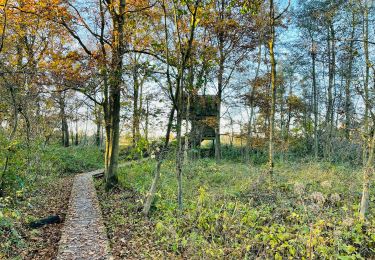 Tocht Stappen Mechelen - La réserve naturelle Mechels Broek à Muizen (petite) - Photo