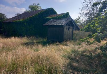 Excursión Senderismo Le Val-d'Ajol - val d'ajol juillet 2023 - Photo