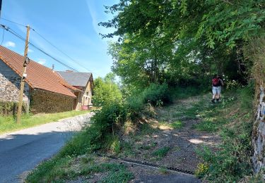Trail Walking Bort-les-Orgues - 20210613 Bort Les Orgues - Photo