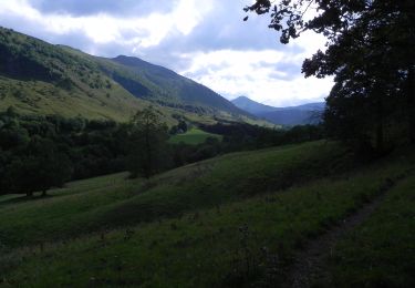 Excursión A pie Lavigerie - La Vallée de l'Impradine - Photo