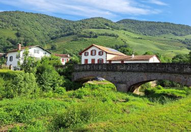 Trail Walking Saint-Jean-Pied-de-Port - vignoble Irouleguy - Ispoure - Photo