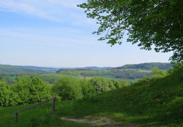 Tocht Te voet Ebensfeld - Pferdsfelder Kapellenweg - Photo