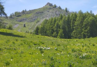 Trail Walking Saint-Apollinaire - Serre de Mouton en boucle  - Photo