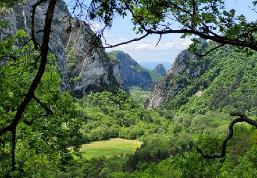 Trail Walking Saou -  Sur les Traces des Muletiers et des Anciennes Fermes  17km. - Photo