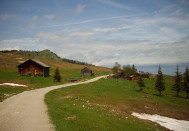 Percorso A piedi Strobl - Postalm Rundweg 3 - Photo