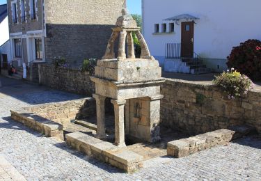 Randonnée A pied Sainte-Hélène - Entre bois et landes - Photo