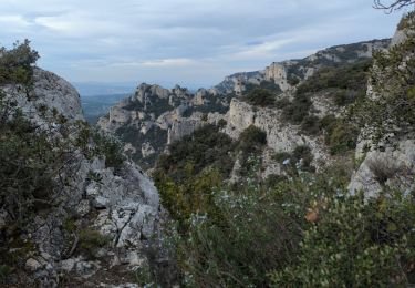 Trail Walking Cheval-Blanc - Rochers de Cairas & Onzes Heures - Photo