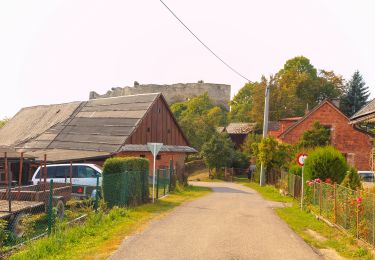 Excursión A pie Cotkytle - [Ž] Lanšperk-Mariánská hora - Photo