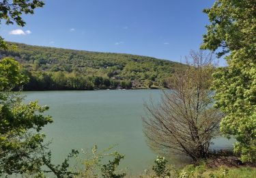 Trail Walking Chasteaux - Tour du lac de causse  - Photo