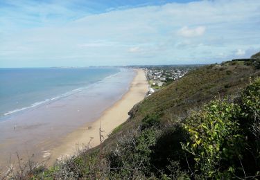 Tocht Stappen Carolles - Falaises de Carolles  - Photo