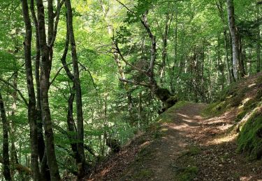 Trail Walking Bagnères-de-Luchon - GR10 J1 BagnÃ¨re des Luchon-Artigue - Photo