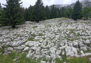 Percorso Marcia Le Grand-Bornand - col de la Colombière, Samance table d'orientation  - Photo