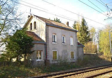 Excursión A pie Bacouel-sur-Selle - Le Parcours du Chevreuil - Photo