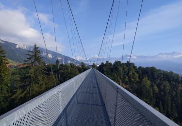 Tocht Stappen Sigriswil - Ballade autour du pont de SIGRISWILL - Photo