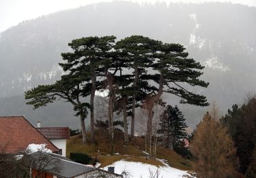 Excursión A pie Gemeinde Höflein an der Hohen Wand - Legenstein-Runde - Photo