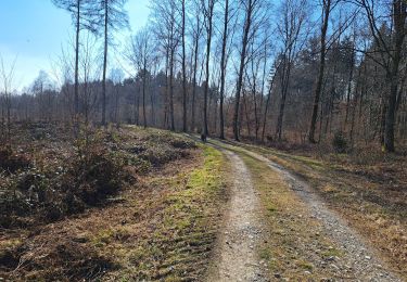 Trail Walking Florennes - Bernard  - Photo