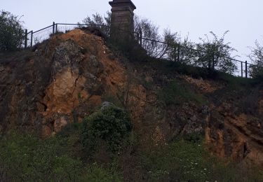 Randonnée Marche Ergersheim - Marche Pop. Ergersheim - Photo