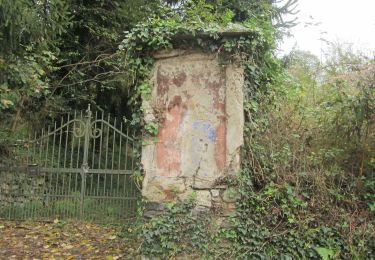 Percorso A piedi Comignago - L' archeologia - Photo