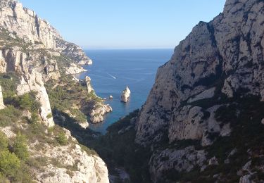 Percorso Marcia Marsiglia - calanques de sugiton  - Photo