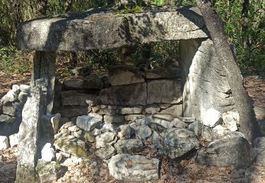 Randonnée Marche Cabasse - le dolmen  - Photo