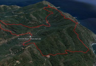 Trail Walking Six-Fours-les-Plages - Cap Sicié - Notre Dame du Mai - Six fours - Photo