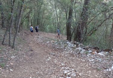 Trail Walking Roquefort-les-Pins - la grotte de la chèvre d'or depuis la Colle sur loup  - Photo