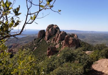 Randonnée Marche Saint-Raphaël - pic du cap Roux depuis le cap roux - Photo