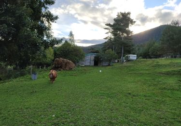 Randonnée Marche Camurac - Les cretes de Camurac 2021 - Photo