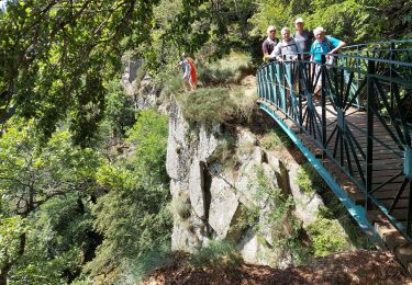 Trail Walking Dourbies - aigoual esperou - Photo