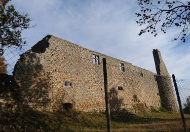 Randonnée A pied Sauvessanges - La Ligonne - Photo