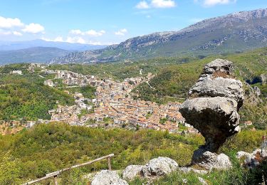 Percorso A piedi Monte San Giacomo - (SI S03) Rifugio Cervati - Piaggine - Photo