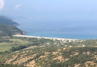 Tour Wandern Palasca - Randonnée « le Désert des Agriates » Corse - Photo