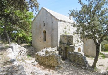 Tour Zu Fuß La Roque-d'Anthéron - Chap Ste Anne de Goiron - Photo