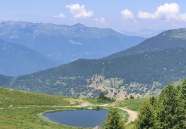 Trail Walking Hautecour - quermoz - Photo