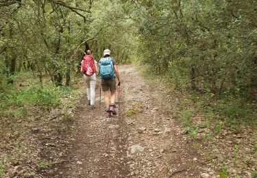 Tour Wandern Pourrières - le mont Aurélien - Photo