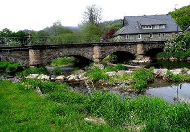 Randonnée A pied Eslohe - Wenholthausen Rundweg W5 - Photo