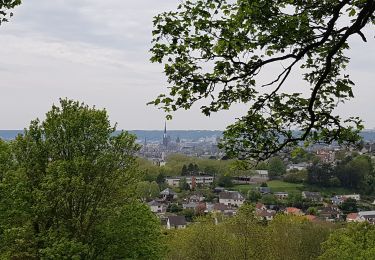 Tocht Stappen Rouen - 20190507-circuit des musiciens - Photo