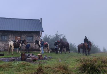 Tocht Paardrijden Aubure - 2019-11-02 WE Aubure Brezouard - Photo