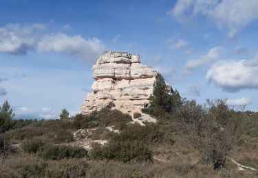 Trail Walking Aix-en-Provence - La Merindole - Photo