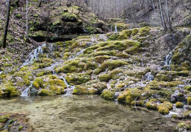 Excursión Senderismo Saint-Bauzile - Rouffiac/la Tuffière/Montialoux - Photo