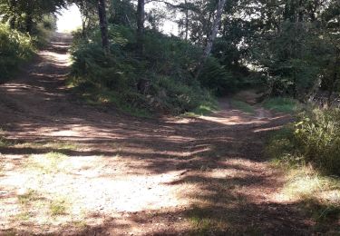 Trail Nordic walking Beynat - lac des miel - Roche de vic - Photo