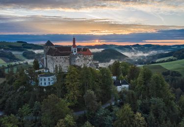 Randonnée A pied Gemeinde Krumbach - Unterhaus - Kraxenberg - Photo