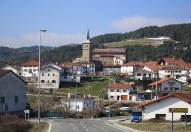 Randonnée A pied Erro - Erro - Mezkiritz - Photo