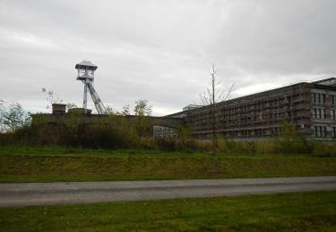 Tour Zu Fuß Genk - Thorpark Groene rechthoek - Photo