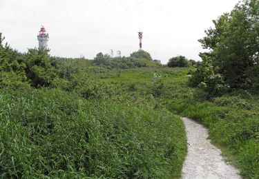 Tocht Te voet Le Havre - Autour du Cap - Photo