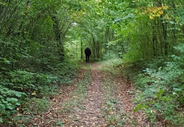 Trail Walking Bulson - bulson - Photo